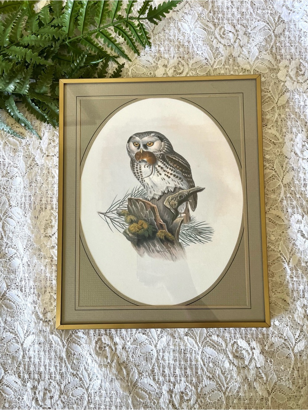 Vintage Brass Framed Owl Decor 8x10